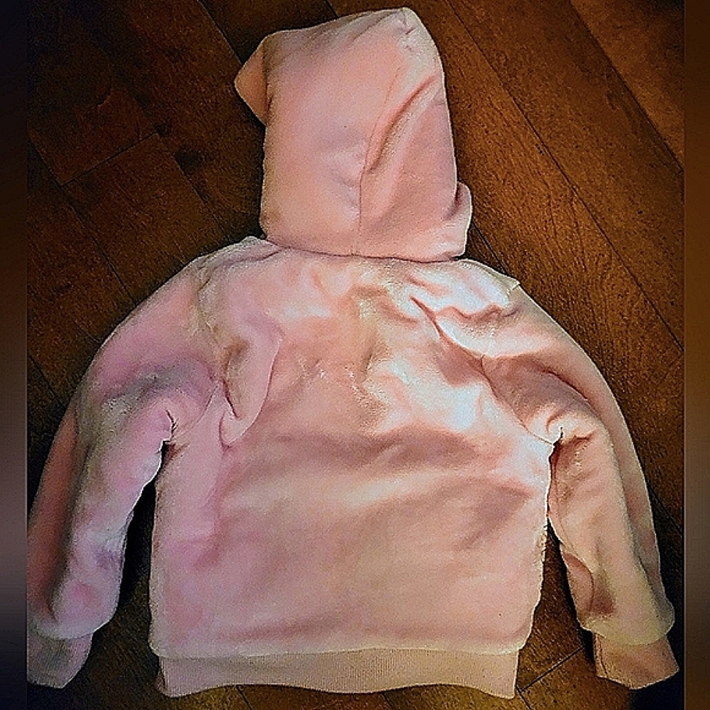 Disney Princess Girl Plush Sherpa-Lined Hooded Coat Embroidered Pink Size 4T - Picture 3 of 10